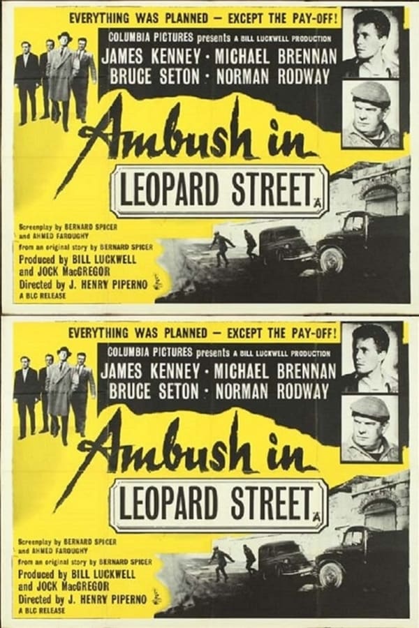 Cover of the movie Ambush in Leopard Street