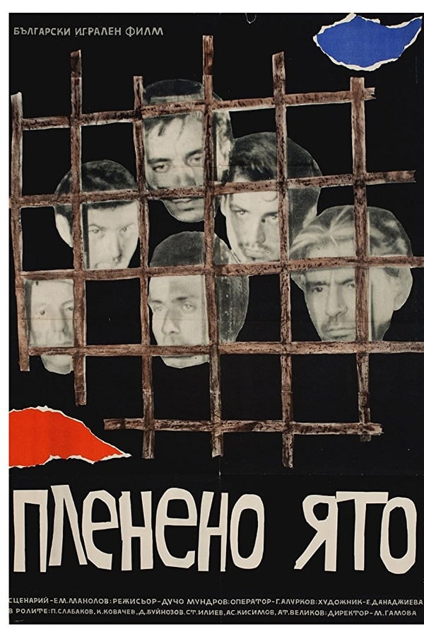 Cover of the movie Captive Flock