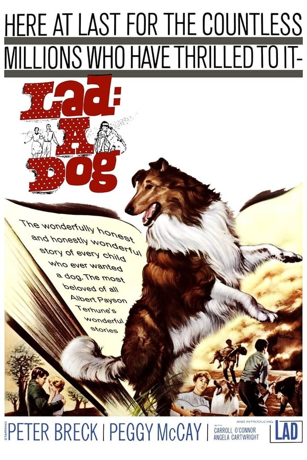 Cover of the movie Lad: A Dog