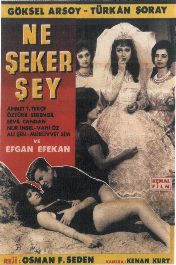 Cover of the movie Ne Şeker Şey