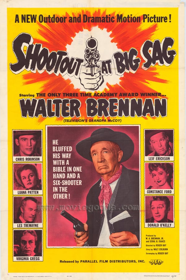 Cover of the movie Shoot Out At Big Sag