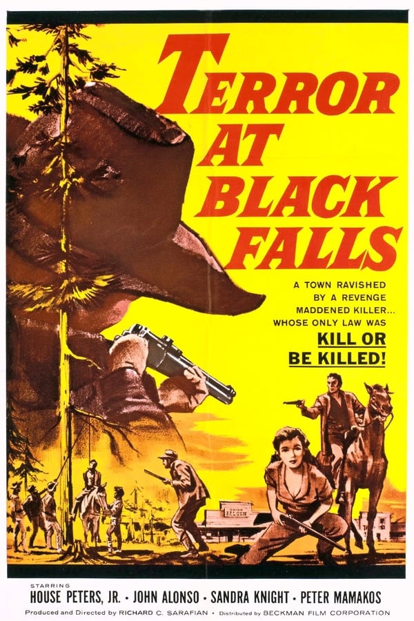 Cover of the movie Terror At Black Falls