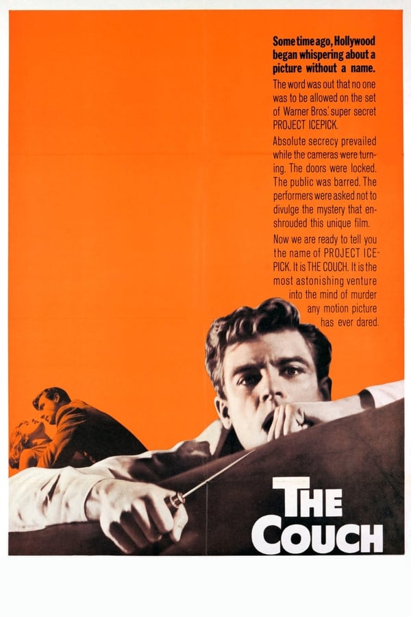 Cover of the movie The Couch