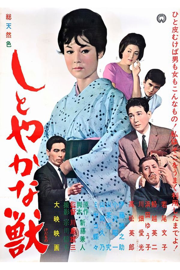 Cover of the movie The Graceful Brute