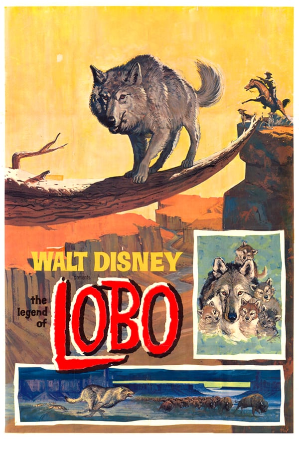 Cover of the movie The Legend of Lobo