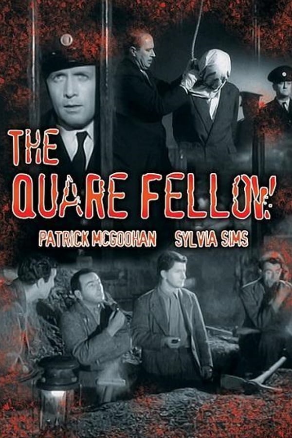 Cover of the movie The Quare Fellow