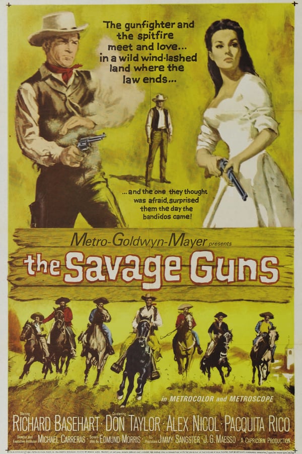 Cover of the movie The Savage Guns