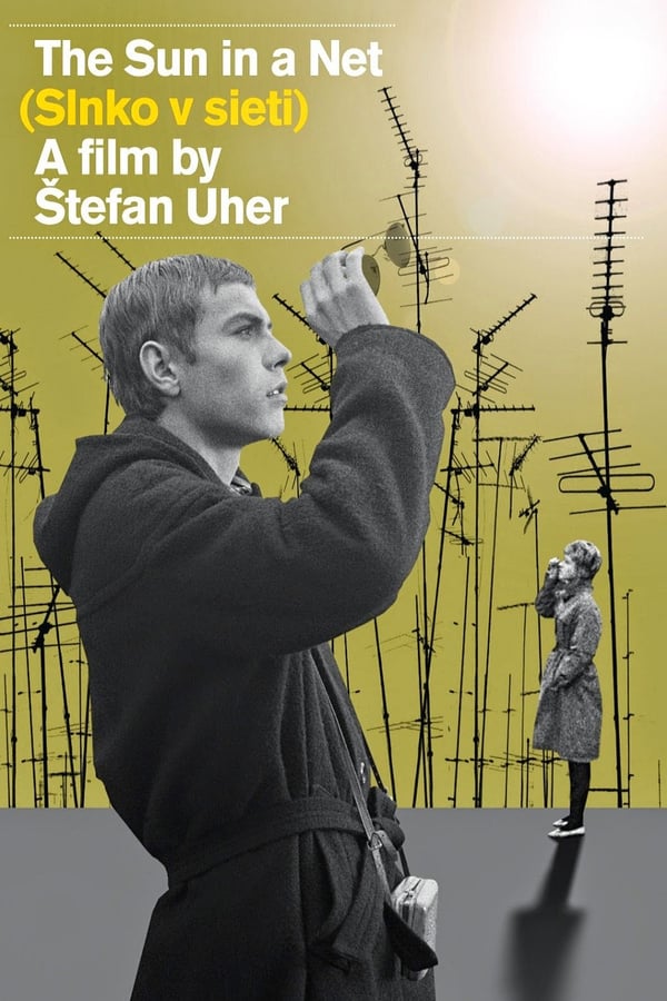 Cover of the movie The Sun in a Net