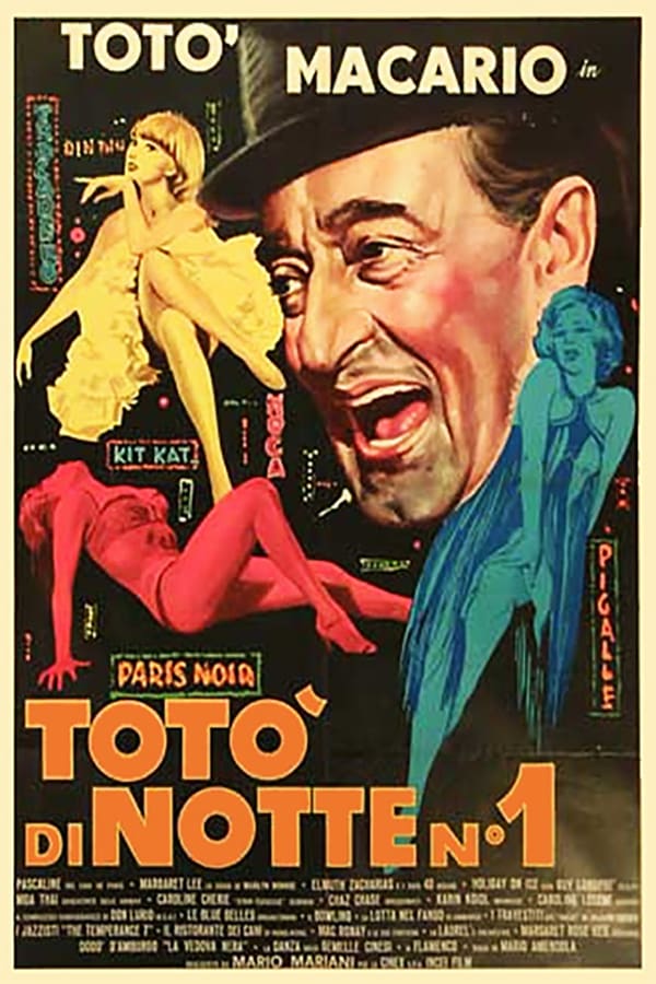 Cover of the movie Toto at Night