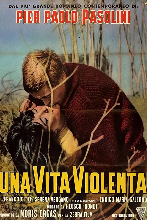 Cover of the movie Violent Life