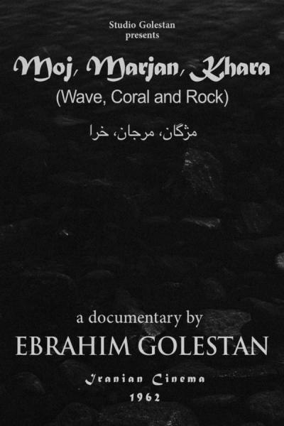 Cover of Wave, Coral and Rock