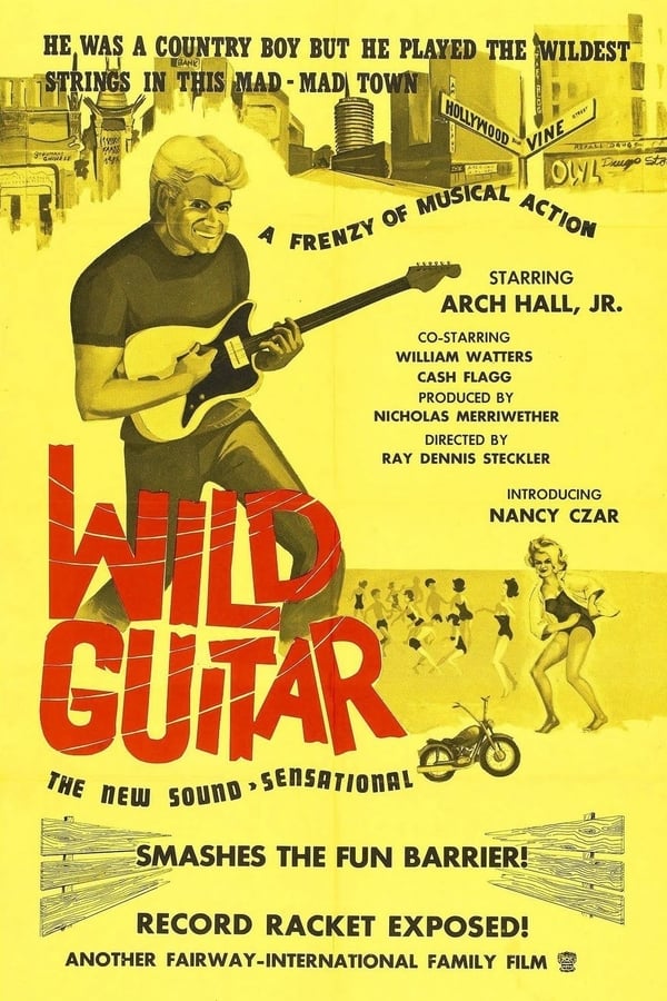 Cover of the movie Wild Guitar