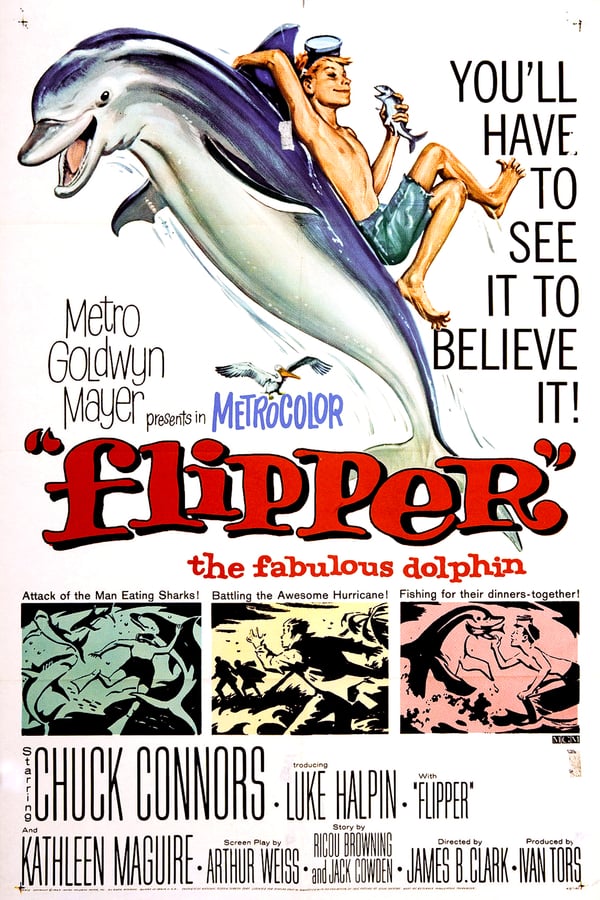Cover of the movie Flipper