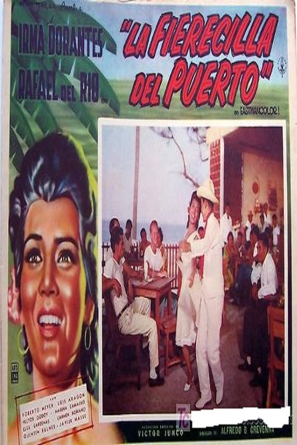 Cover of the movie La fierecilla del puerto