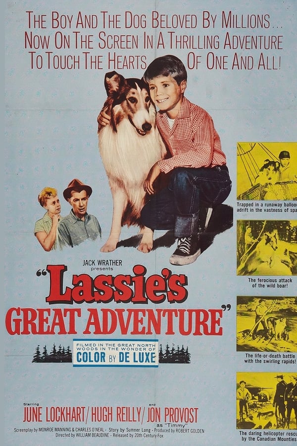 Cover of the movie Lassie's Great Adventure