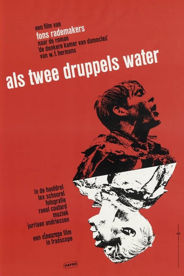 Cover of the movie Like Two Drops of Water