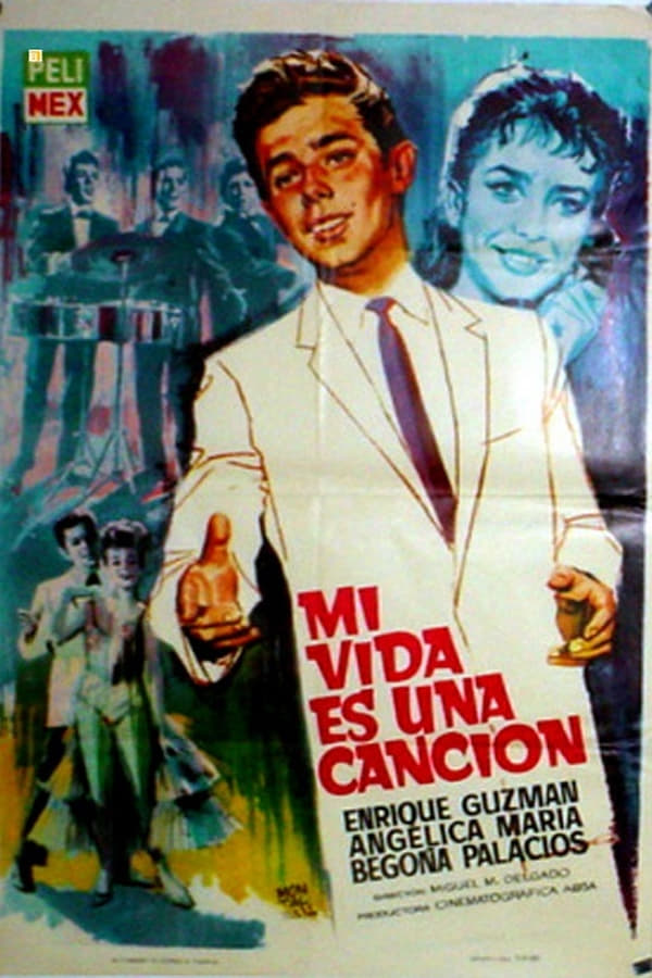 Cover of the movie Mi vida es una canción