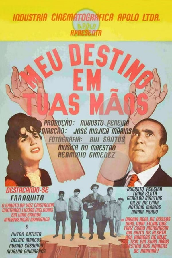 Cover of the movie My Destiny is in Your Hands