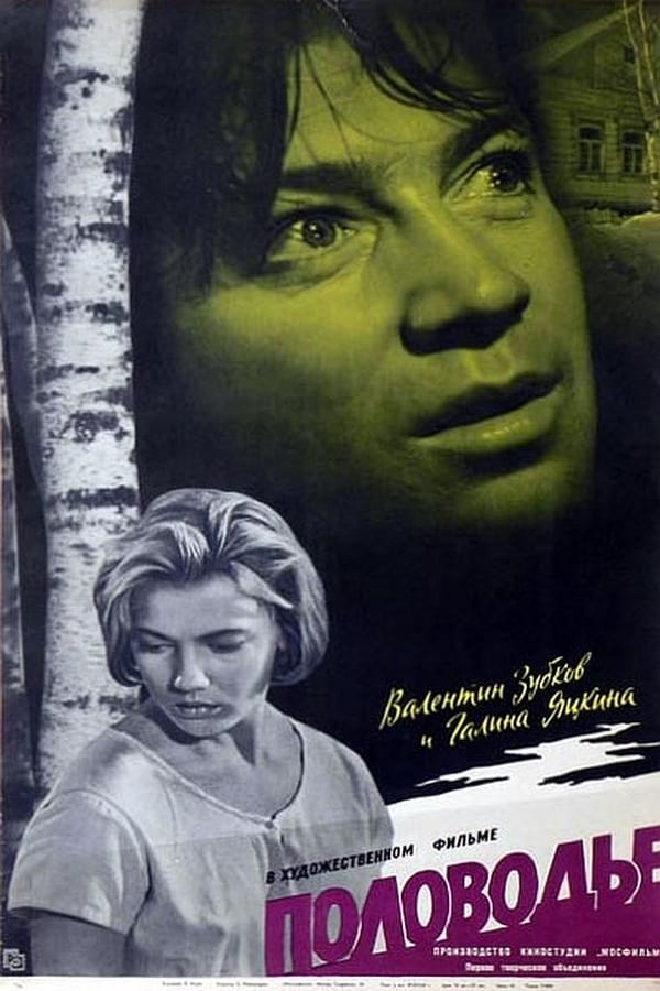 Cover of the movie Polovodye