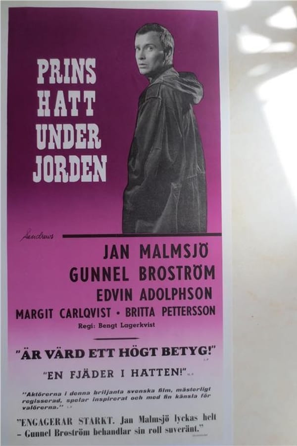 Cover of the movie Prins hatt under jorden