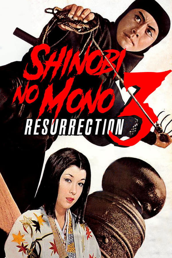 Cover of the movie Shinobi no Mono 3: Resurrection