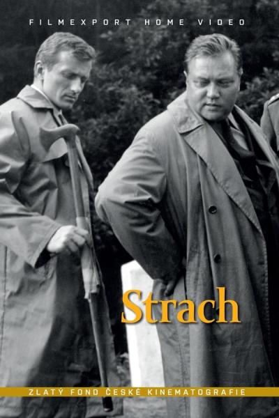 Cover of Strach