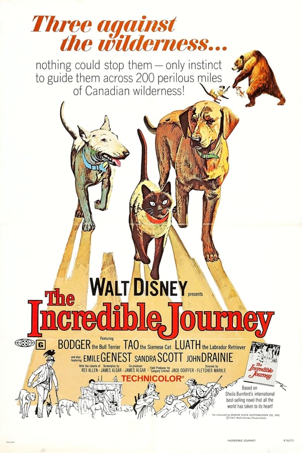 Cover of the movie The Incredible Journey