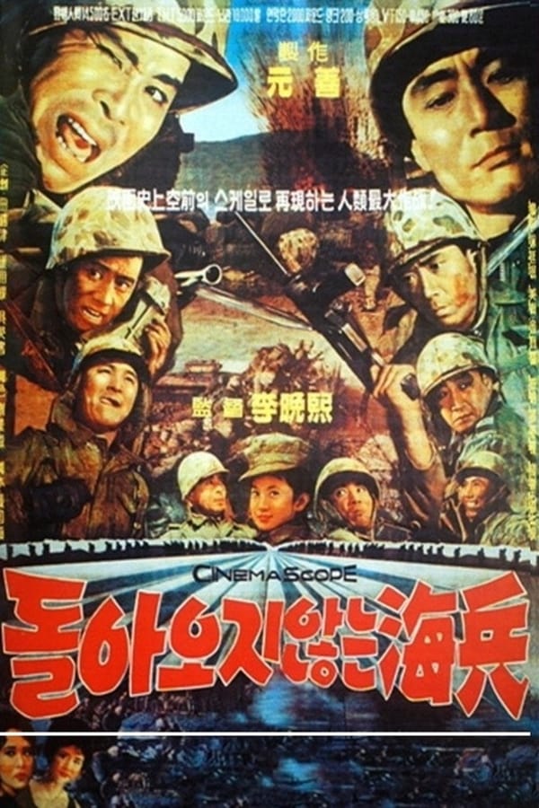 Cover of the movie The Marines Who Never Returned