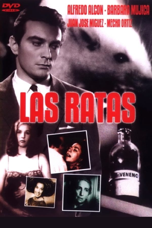 Cover of the movie The Rats