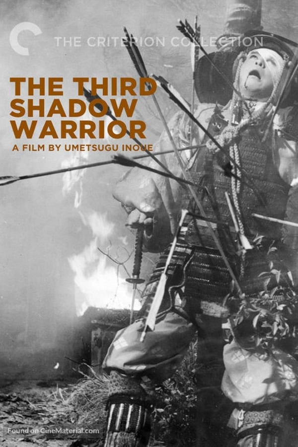 Cover of the movie The Third Shadow Warrior