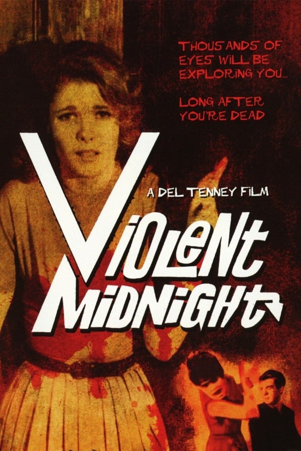 Cover of the movie Violent Midnight