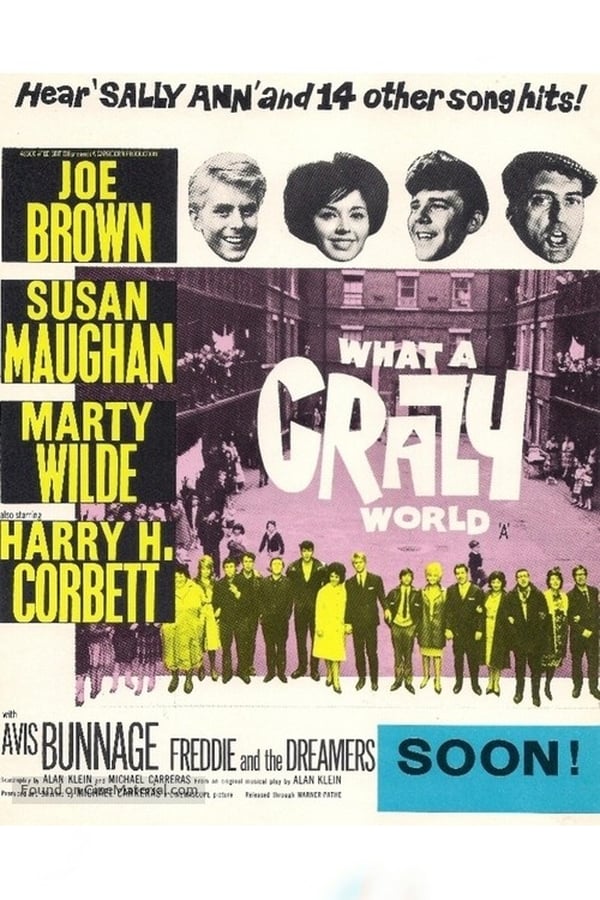 Cover of the movie What a Crazy World