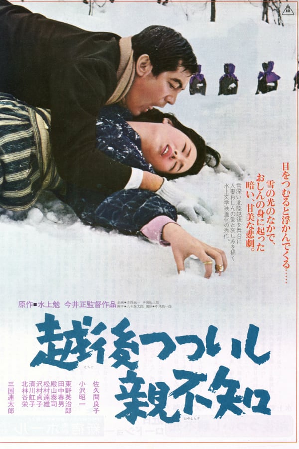 Cover of the movie A Story from Echigo