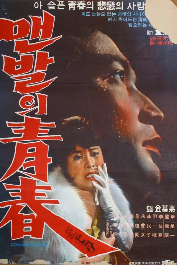 Cover of the movie Barefooted Youth
