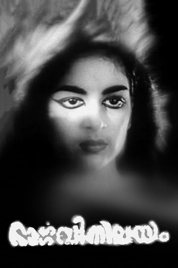 Cover of the movie Bhargavi Nilayam