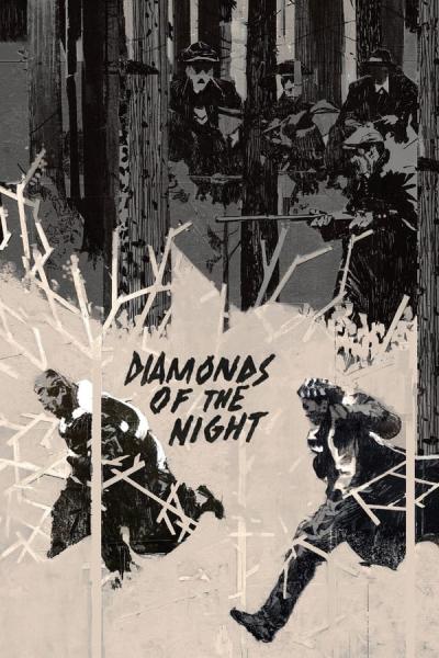 Cover of Diamonds of the Night
