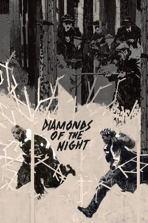 Cover of the movie Diamonds of the Night