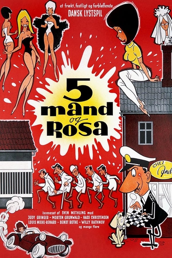 Cover of the movie Five men and Rosa
