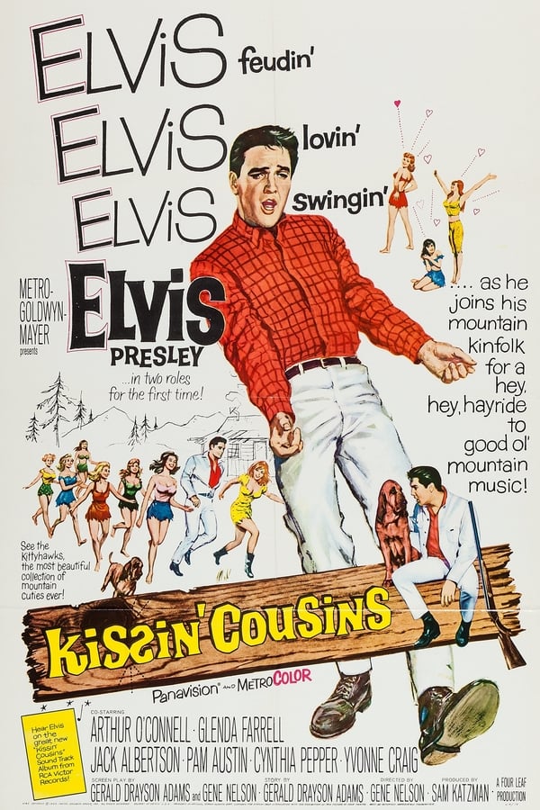 Cover of the movie Kissin' Cousins