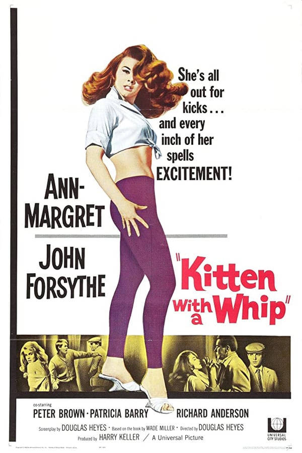 Cover of the movie Kitten with a Whip