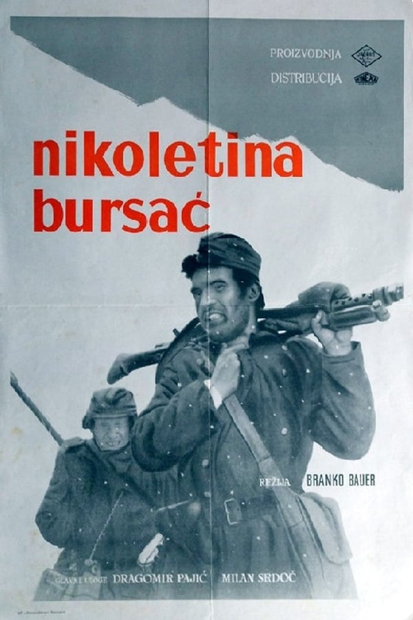 Cover of the movie Nikoletina Bursac