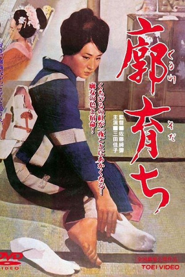 Cover of the movie Raised in a Palace