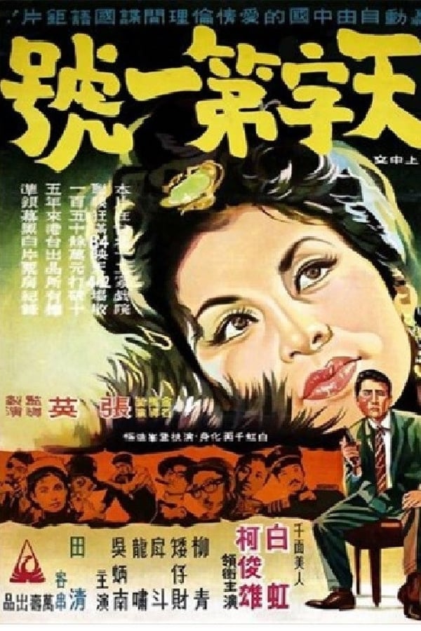 Cover of the movie The Best Secret Agent