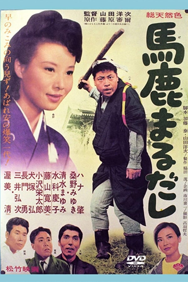 Cover of the movie The Honest Fool