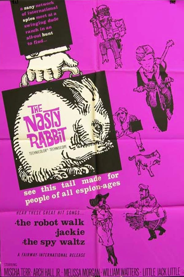 Cover of the movie The Nasty Rabbit