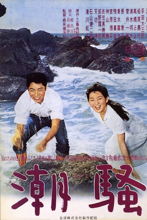 Cover of the movie The Sound of Waves