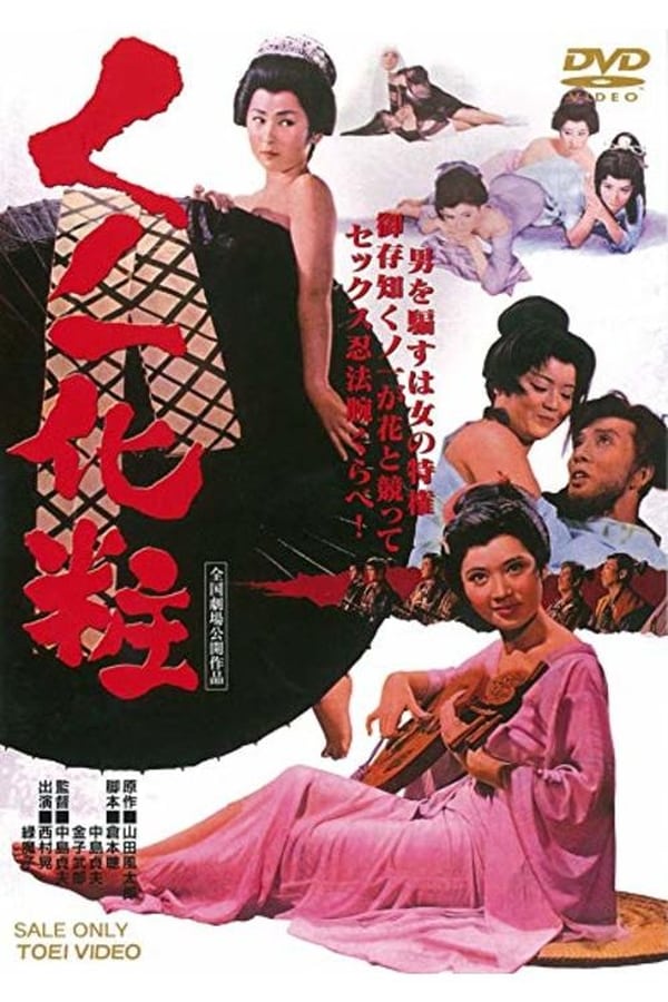 Cover of the movie The Spying Sorceress