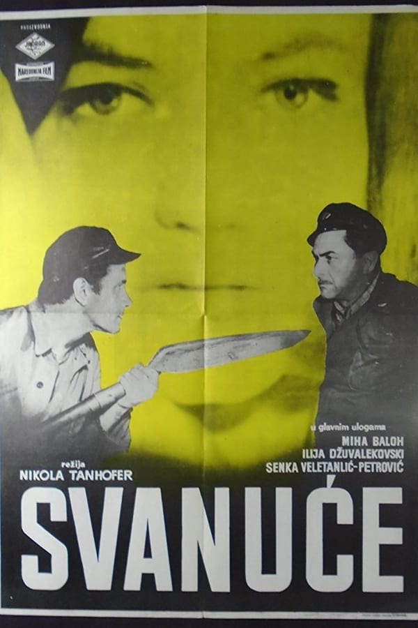 Cover of the movie The Sunrise