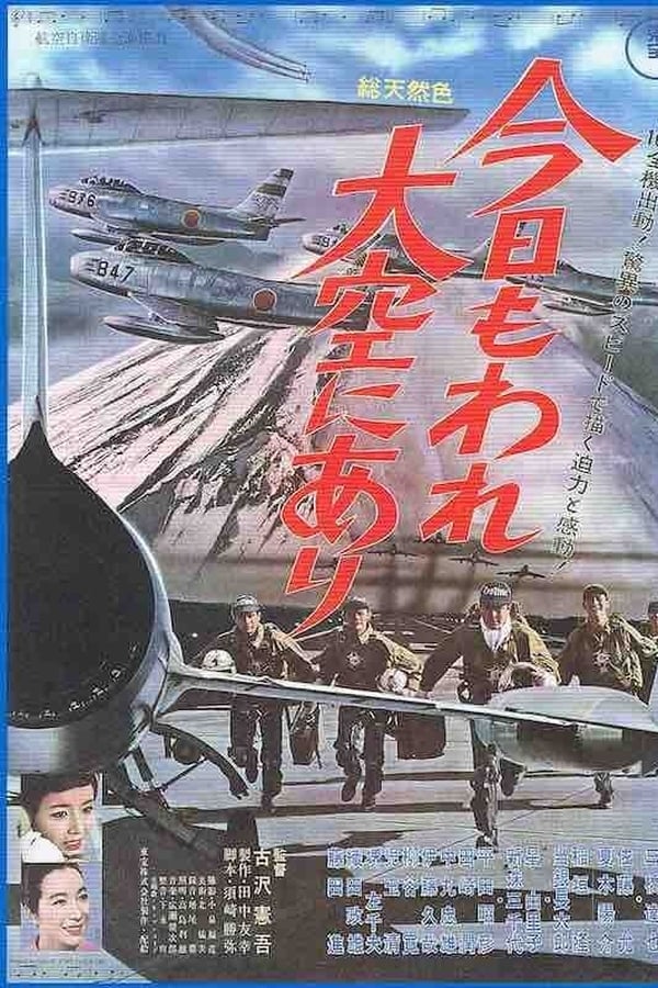 Cover of the movie Tiger Flight