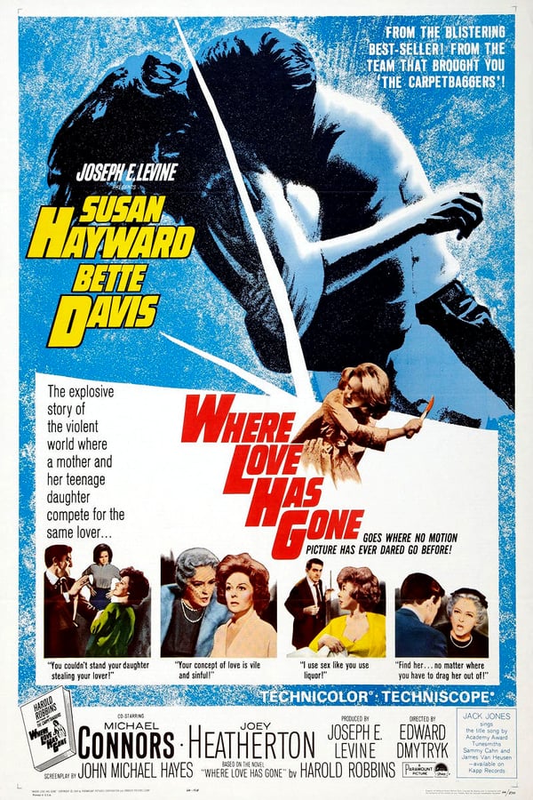 Cover of the movie Where Love Has Gone